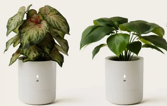 Maceta que cuida de tus plantas LeafyPod CES 2025