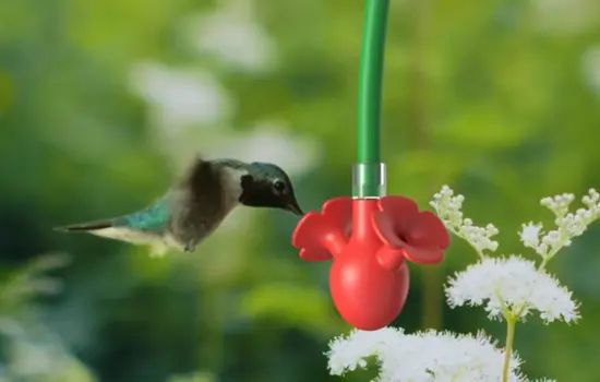 Birdfy Hum Bloom CES 2026