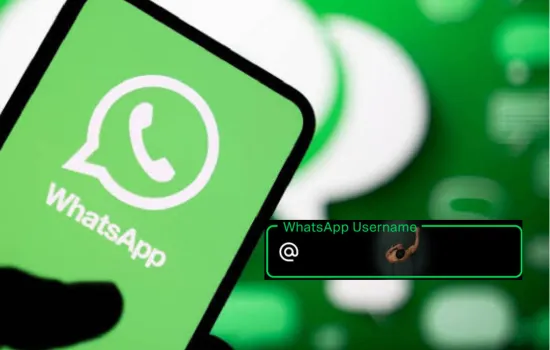 Nombre de usuario de WhatsApp