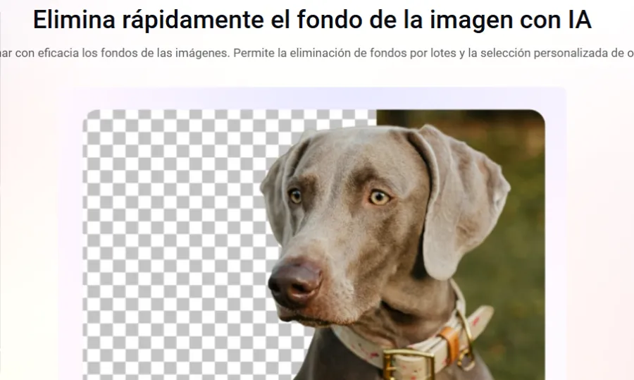 Eliminar fondo de imagen - Editor de video con IA FlexClip